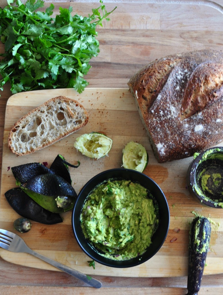 The Best Guacamole on Toast Recipe My Second Breakfast